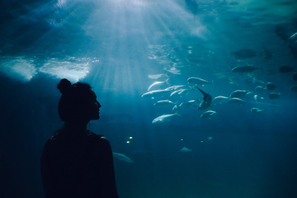 woman at an aquarium